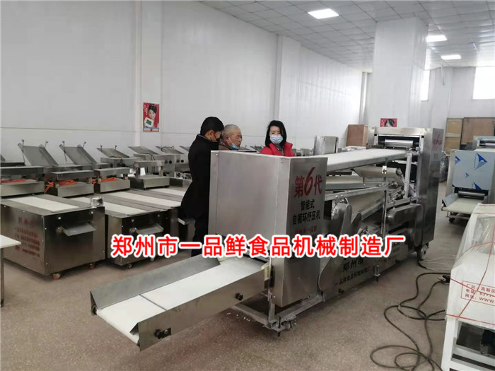 第六代全自動智能揉壓機設備